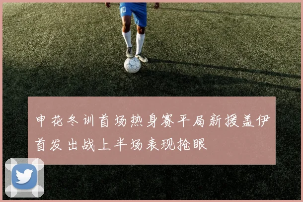 申花冬训首场热身赛平局新援盖伊首发出战上半场表现抢眼