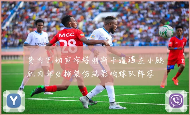 费内巴切宣布塔利斯卡遭遇左小腿肌肉部分撕裂伤病影响球队阵容