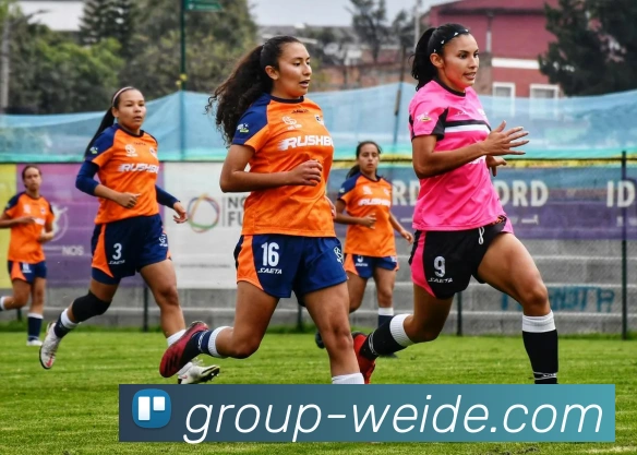 伟德体育平台生态图