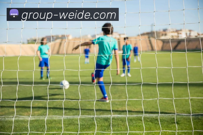 伟德体育APP 封面图